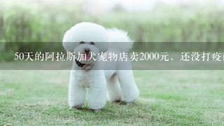 50天的阿拉斯加犬宠物店卖2000元，还没打疫苗，驱过一次虫，这价格可以吗，最近想买