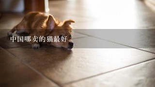 中国哪卖的猫最好