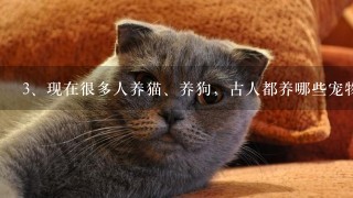 现在很多人养猫、养狗，古人都养哪些宠物？