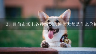 目前市场上各种级别的博美犬都是什么价格呢？