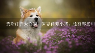 贾斯汀养天价猫，罗志祥养小猪，还有哪些明星养的宠