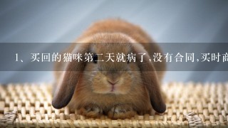 买回的猫咪第二天就病了,没有合同,买时商家说是健康