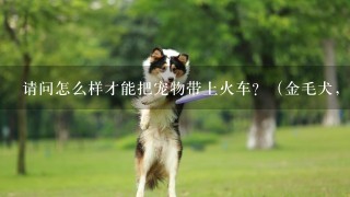 请问怎么样才能把宠物带上火车？（金毛犬，35斤。从防城港运到湖南长沙）谢谢！