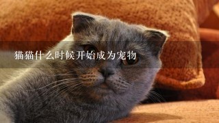 猫猫什么时候开始成为宠物