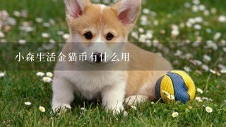 小森生活金猫币有什么用