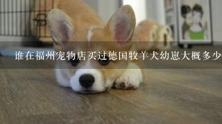 谁在福州宠物店买过德国牧羊犬幼崽大概多少钱想买一只