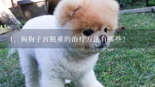 狗狗子宫脱垂的治疗方法有哪些？