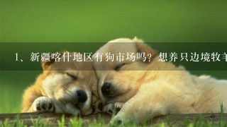 新疆喀什地区有狗市场吗？想养只边境牧羊犬或苏格兰