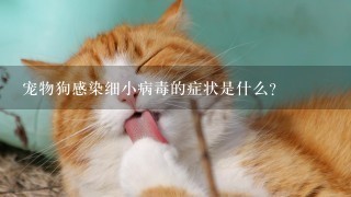 宠物狗感染细小病毒的症状是什么？