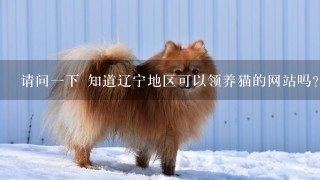 请问一下 知道辽宁地区可以领养猫的网站吗?