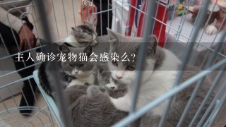 主人确诊宠物猫会感染么？