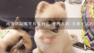 河南濮阳哪里有宠物店 平凡点的 不要生猛的