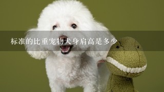 标准的比重宠物犬身肩高是多少