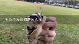 宠物美容师招聘怎么样