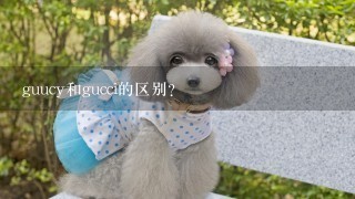 guucy和gucci的区别？