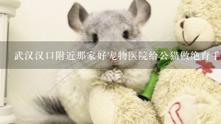 武汉汉口附近那家好宠物医院给公猫做绝育手术