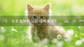 专业宠物托运公司哪家好？