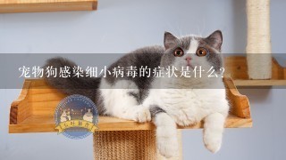 宠物狗感染细小病毒的症状是什么？