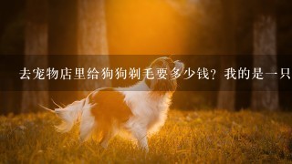 去宠物店里给狗狗剃毛要多少钱？我的是一只成年的萨