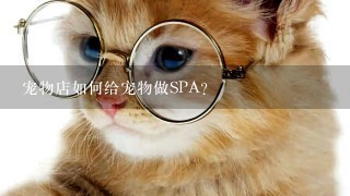 宠物店如何给宠物做SPA？