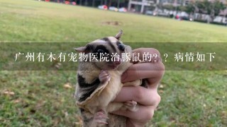 广州有木有宠物医院治豚鼠的？？病情如下