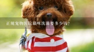 正规宠物医院猫咪洗澡要多少钱?