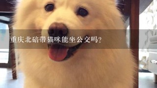 重庆北碚带猫咪能坐公交吗？