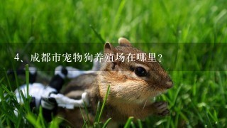 成都市宠物狗养殖场在哪里？