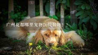 广州花都哪里宠物医院最好？？