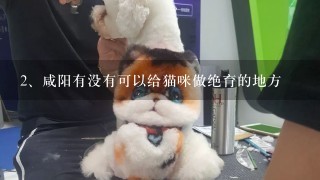 咸阳有没有可以给猫咪做绝育的地方