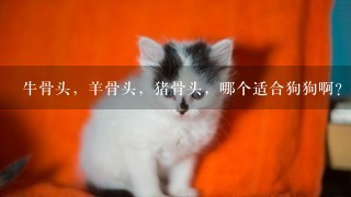 牛骨头，羊骨头，猪骨头，哪个适合狗狗啊？