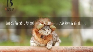 周公解梦,梦到一家人和一只宠物猫在山上