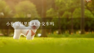 小狗装包里能上公交车吗