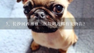 长沙河西湘雅三医院附近哪有宠物店？