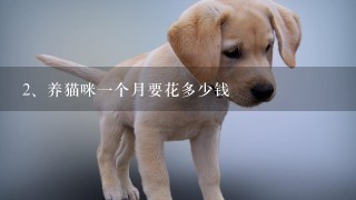 养猫咪一个月要花多少钱