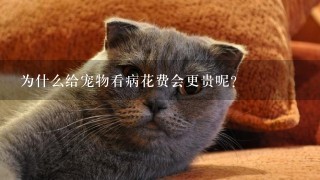 为什么给宠物看病花费会更贵呢？