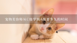 宠物美容师从C级学到A级要多久的时间