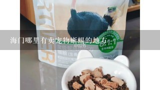 海门哪里有卖宠物蜥蜴的地方