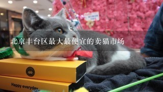 北京丰台区最大最便宜的卖猫市场