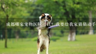 成都哪家宠物医院可以？我要给我家猫猫动手术！