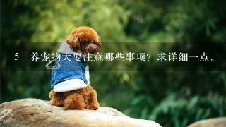 5 养宠物犬要注意哪些事项？求详细一点。