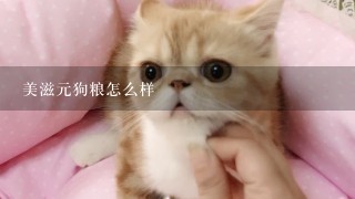 美滋元狗粮怎么样