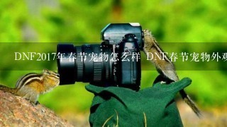 DNF2017年春节宠物怎么样 DNF春节宠物外观属性介绍