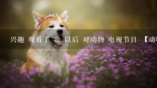 兴趣 观看了 我 以后 对动物 电视节目 【动物世界】 浓厚的 产生了