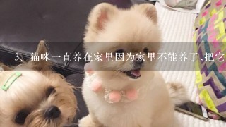 猫咪一直养在家里因为家里不能养了,把它放生它会自