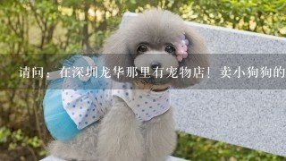 请问：在深圳龙华那里有宠物店！卖小狗狗的！有的话快快回答我！急！！