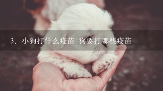 小狗打什么疫苗 狗要打哪些疫苗