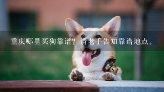 重庆哪里买狗靠谱？请老手告知靠谱地点。
