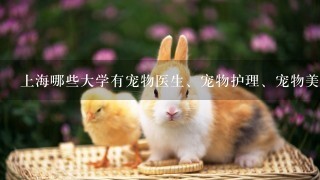 上海哪些大学有宠物医生、宠物护理、宠物美容这之类的专业？2010年对湖北招生分数都是多少呢？