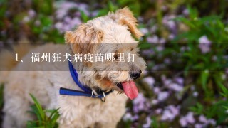 福州狂犬病疫苗哪里打